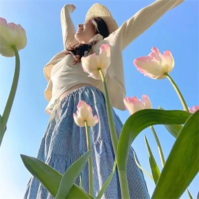 至上之法