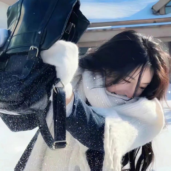 蒂科与鲨鱼