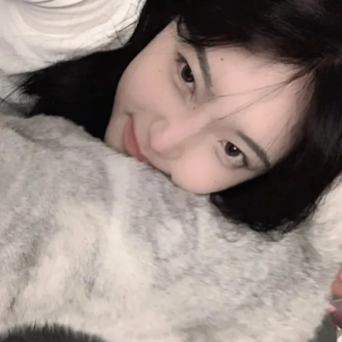 奔流犬：先生归来
